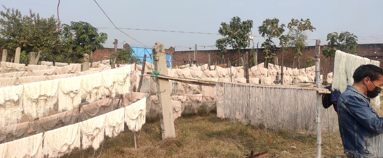 Stage 03 — the drying yard, dyed hanks in the sun before they go to the loom