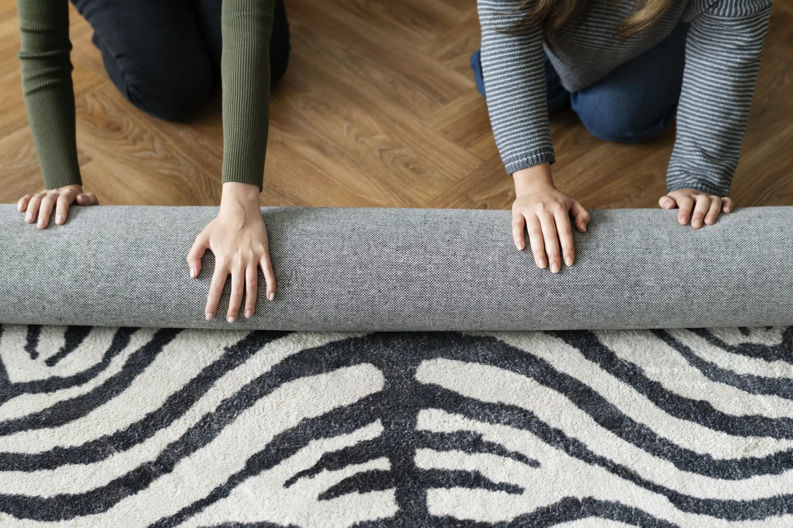 A carved hand-tufted zebra-print rug being unrolled — the design carved from a level pile