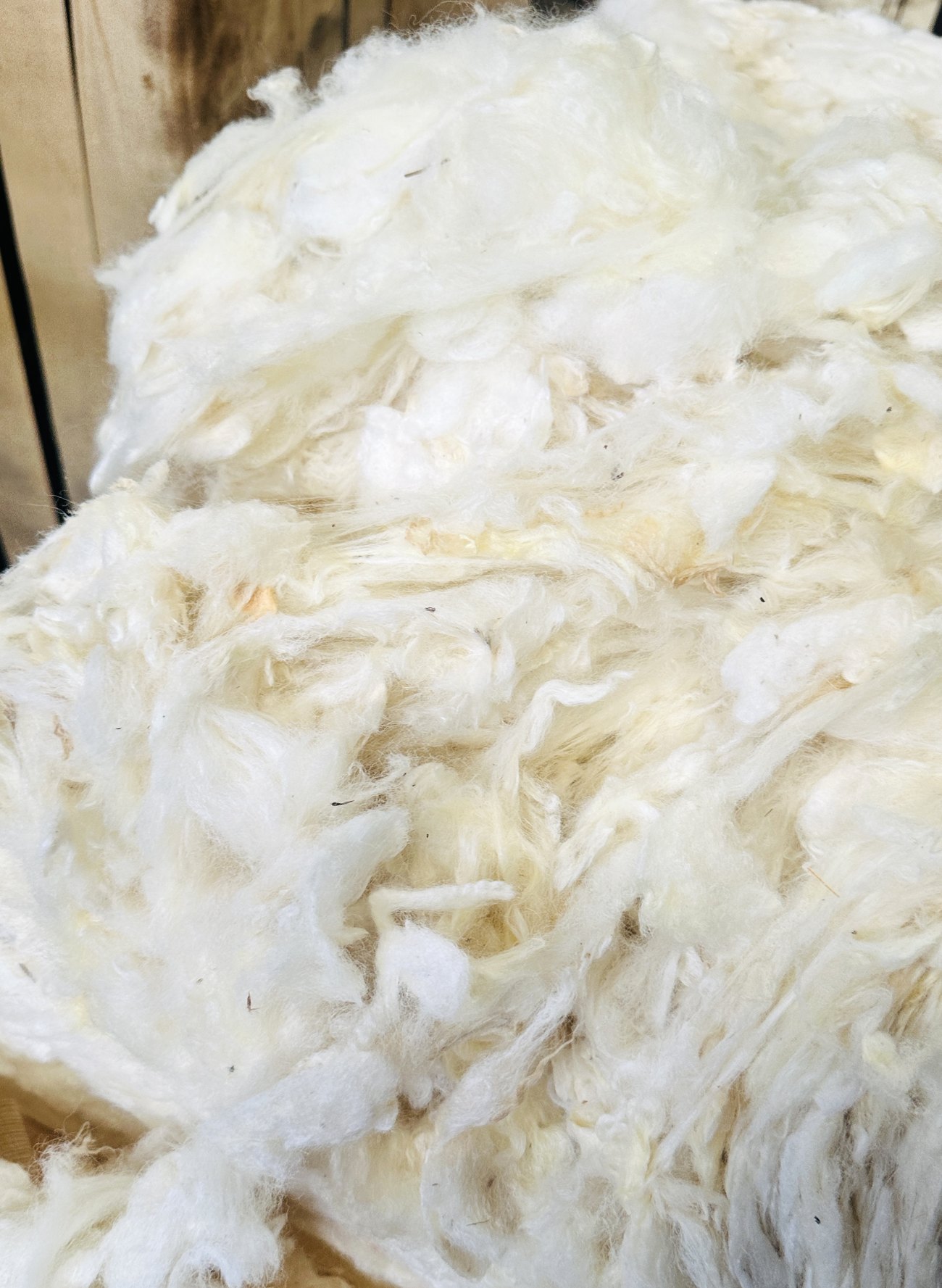 Stage 02 — raw wool at intake, tested for count, twist and moisture regain before it is issued for spinning
