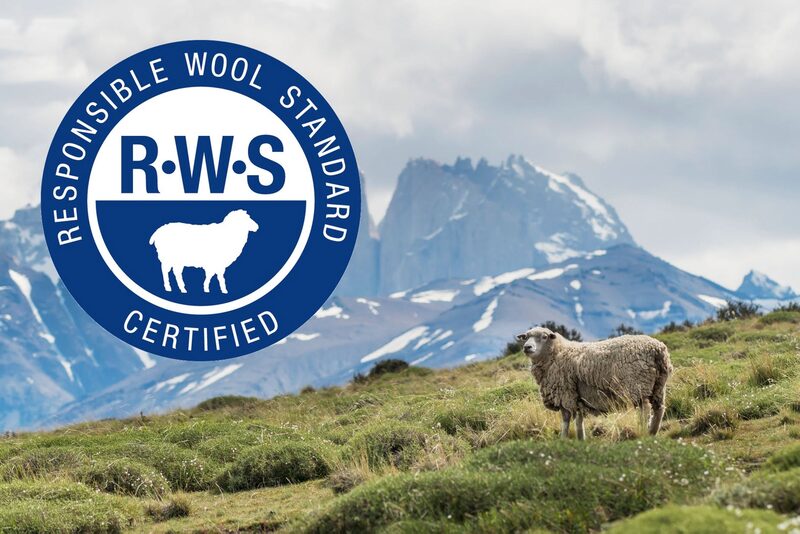 Illustration — RWS-certified wool origin. Not a photograph of PiHue’s own supply