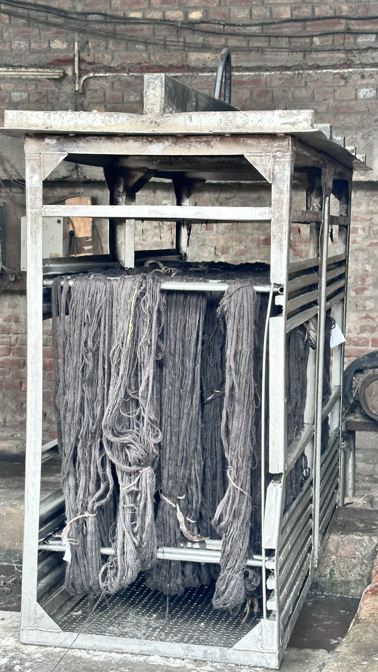 Wool hanks after the dyeing process